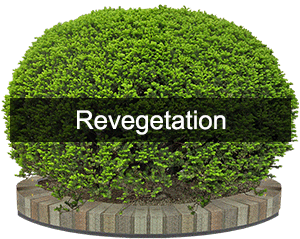 Revegetation